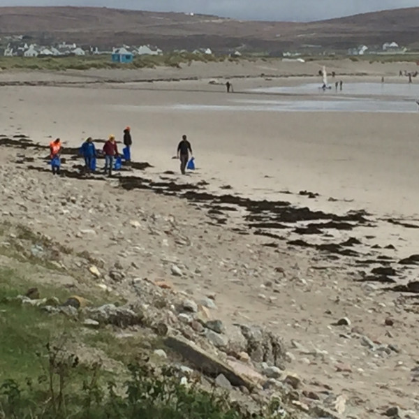 Mayo Mayhem 2019